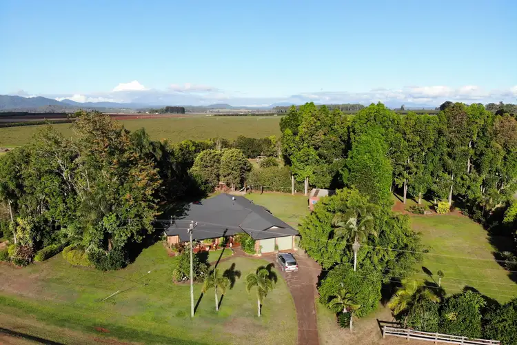 Main view of Homely house listing, 170 Graham Road, Tolga QLD 4882
