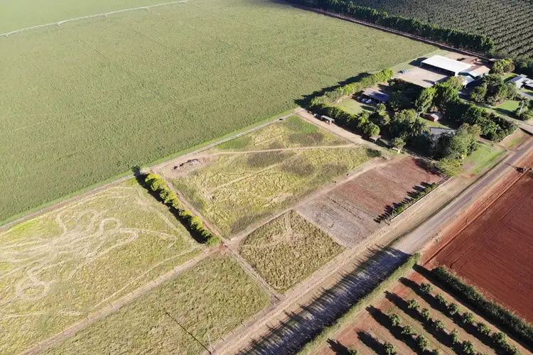 Second view of Homely house listing, 170 Graham Road, Tolga QLD 4882