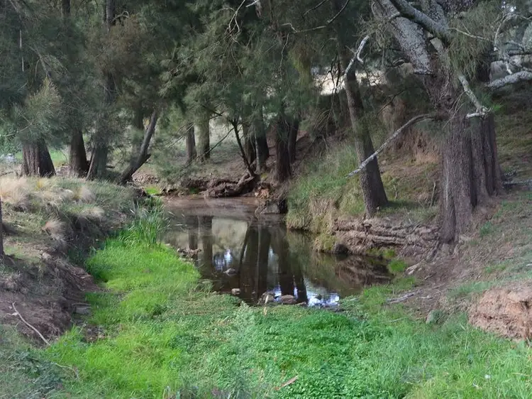 Fourth view of Homely rural property listing, 3123 Wombeyan Caves Road, Bullio NSW 2575