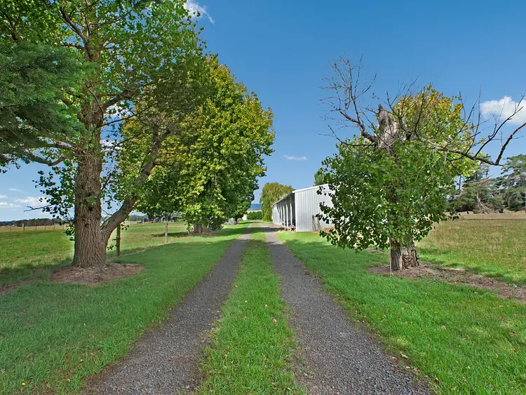 110 Nuttalls Road, Yinnar VIC 3869