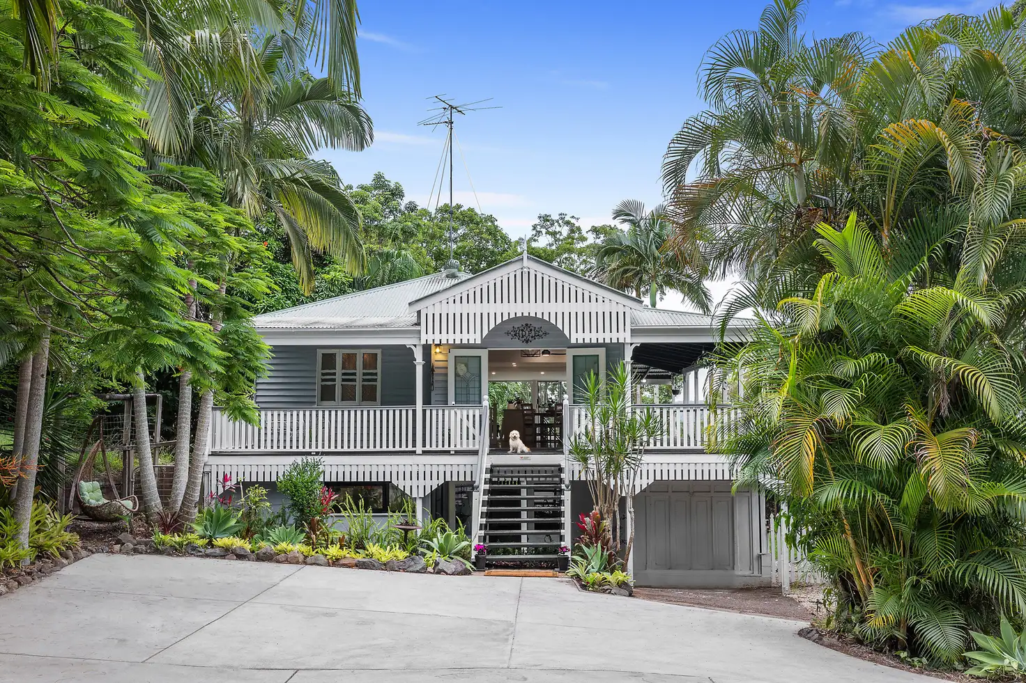 Main view of Homely house listing, 751 Diddillibah Road, Diddillibah QLD 4559