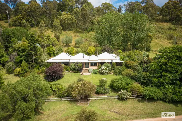 298 Daisy Hill Road, Bega NSW 2550