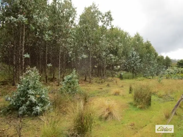 Main view of Homely rural property listing, Loongana Road, Nietta TAS 7315