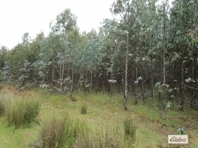 Third view of Homely rural property listing, Loongana Road, Nietta TAS 7315