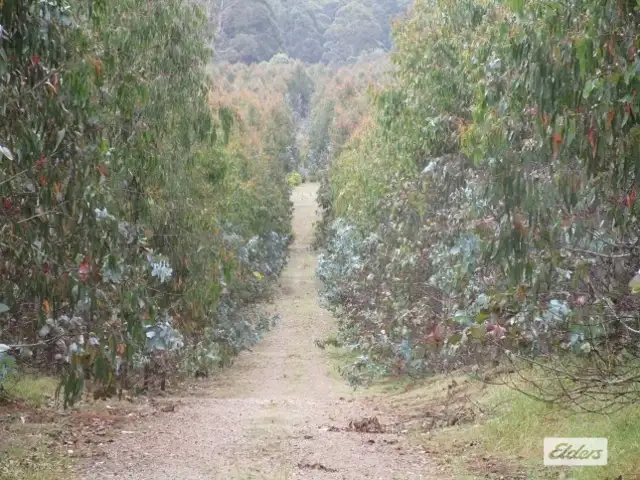 Fourth view of Homely rural property listing, Loongana Road, Nietta TAS 7315