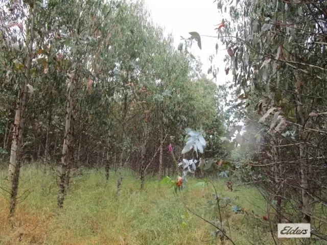 Fifth view of Homely rural property listing, Loongana Road, Nietta TAS 7315