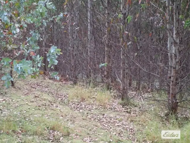 Seventh view of Homely rural property listing, Loongana Road, Nietta TAS 7315