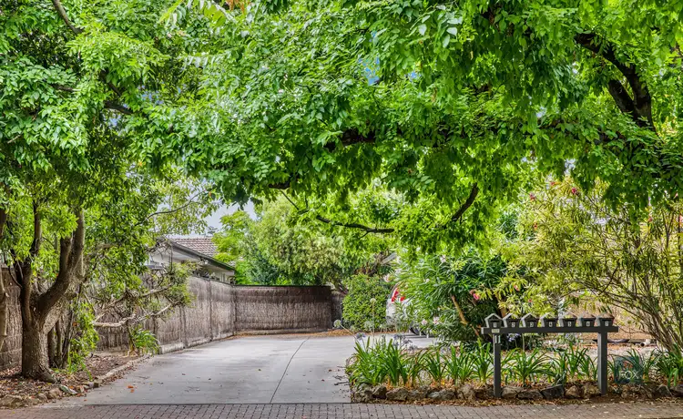 Main view of Homely unit listing, 3/11 Adelaide Street, Maylands SA 5069