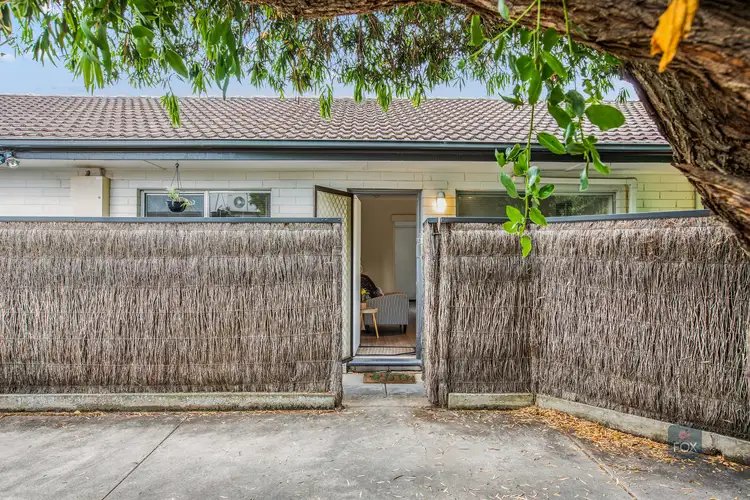 Second view of Homely unit listing, 3/11 Adelaide Street, Maylands SA 5069