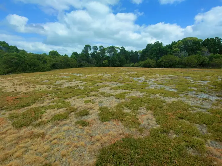 Second view of Homely land listing, 2375 Lady Barron Road, Lady Barron TAS 7255