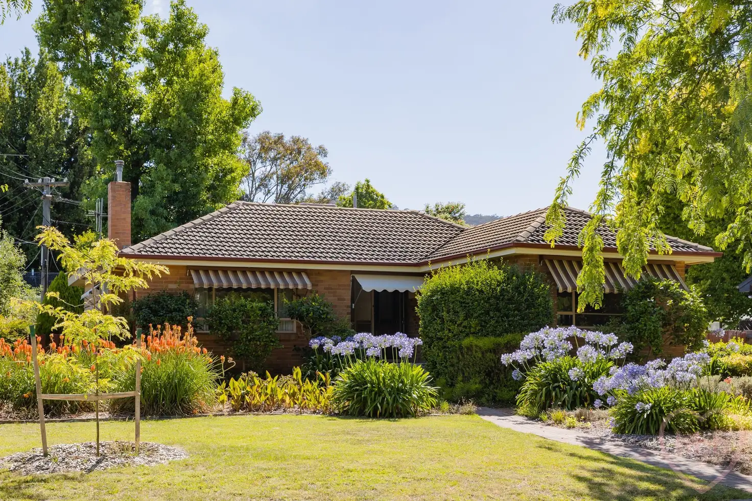 Main view of Homely house listing, 3 Mills Street, Hackett ACT 2602