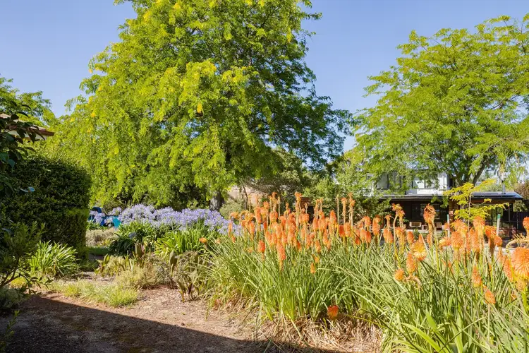 Third view of Homely house listing, 3 Mills Street, Hackett ACT 2602