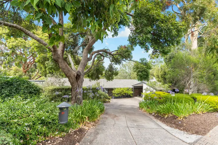 Main view of Homely house listing, 21 Diosma Drive, Coromandel Valley SA 5051
