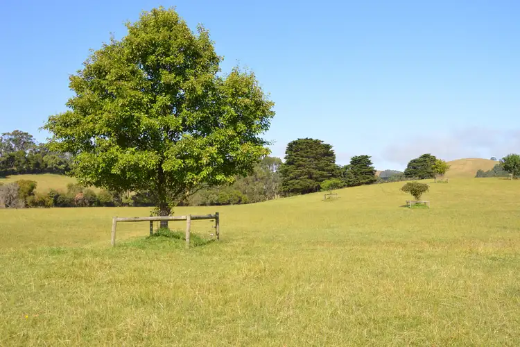 Fourth view of Homely rural property listing, 80 Cooks Road, Dumbalk VIC 3956