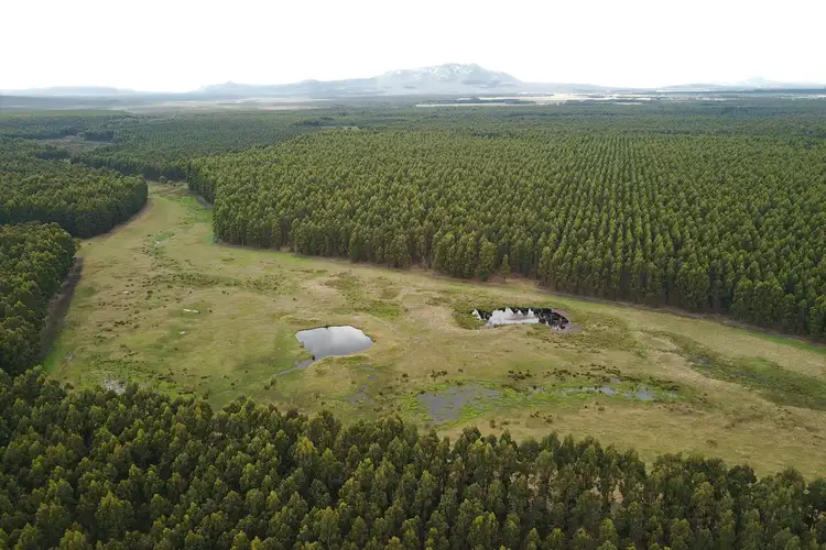 Main view of Homely rural property listing, 370 Pfeiffer Road, Manypeaks WA 6328