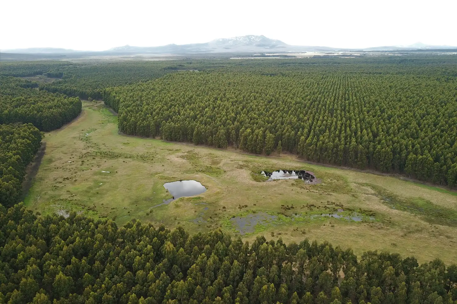 Main view of Homely rural property listing, 370 Pfeiffer Road, Manypeaks WA 6328