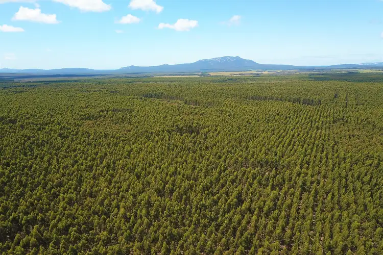 Second view of Homely rural property listing, 370 Pfeiffer Road, Manypeaks WA 6328