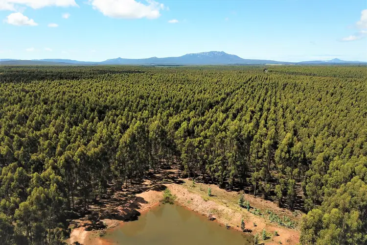 Third view of Homely rural property listing, 370 Pfeiffer Road, Manypeaks WA 6328