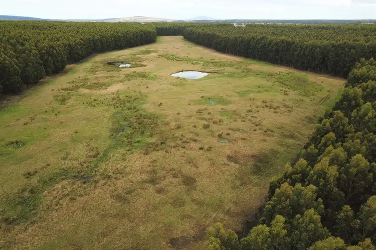 Fifth view of Homely rural property listing, 370 Pfeiffer Road, Manypeaks WA 6328