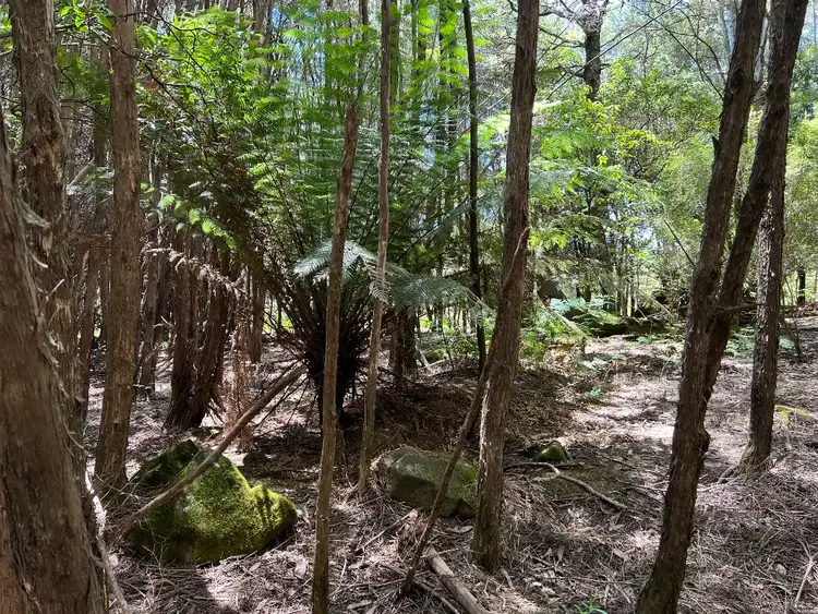 Seventh view of Homely land listing, LOT 3 Camden Road, Tayene TAS 7259