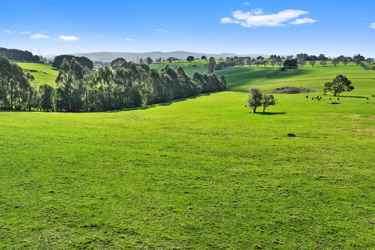 Main view of Homely rural property listing, 122 Cazalys Road, Brandy Creek VIC 3821