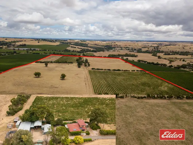 Main view of Homely house listing, 306 Rosedale Road, Rosedale SA 5350