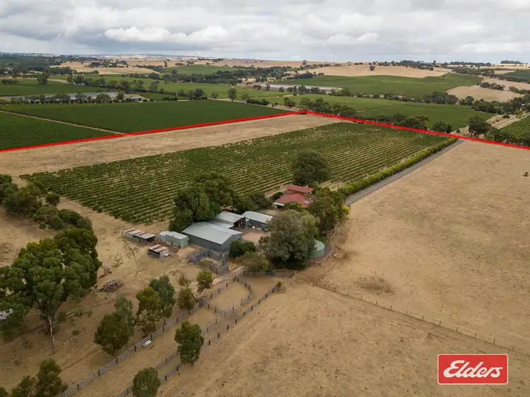 Fourth view of Homely house listing, 306 Rosedale Road, Rosedale SA 5350