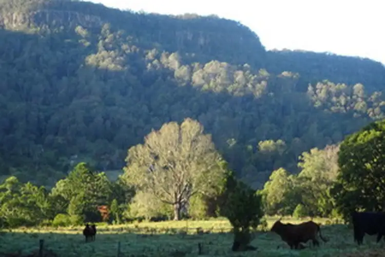 Third view of Homely rural property listing, 254 Atkins Road, Larnook NSW 2480