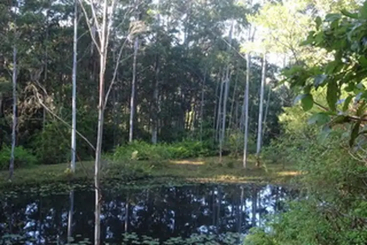 Fourth view of Homely rural property listing, 254 Atkins Road, Larnook NSW 2480