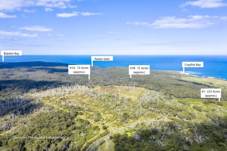 Sixth view of Homely house listing, Level 41, 41A, 4/1010 Lighthouse Road, Cape Otway VIC 3233