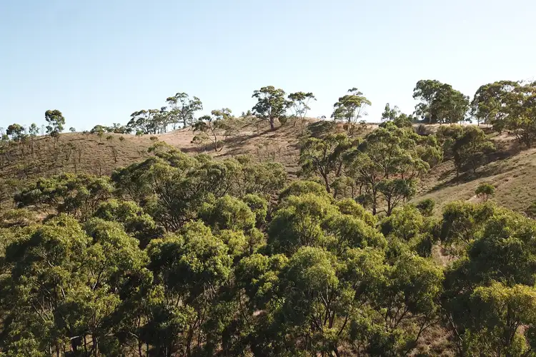 Fourth view of Homely land listing, Lot 26 Spring Gully Road, Emu Flat SA 5453