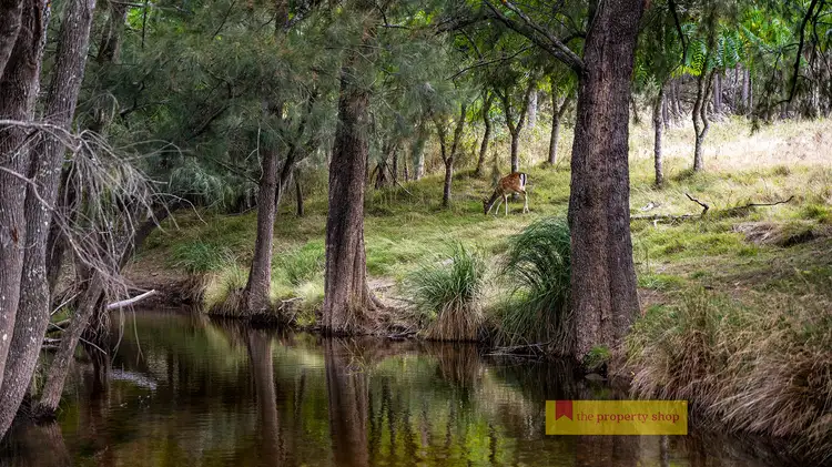 LOT LOT 63, 977 Yarrabin Road, Yarrabin NSW 2850
