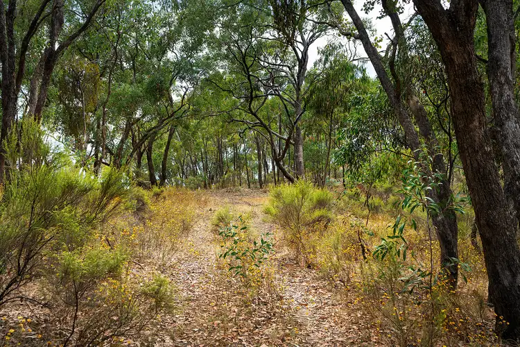 Fifth view of Homely land listing, 87 Congdon Road, Barkers Creek VIC 3451