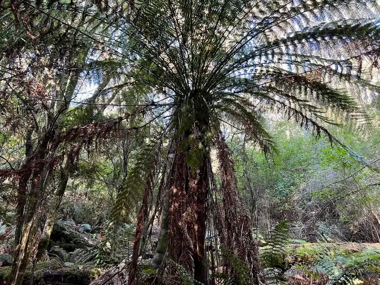 Second view of Homely rural property listing, 2023A Pipers River Road, Pipers River TAS 7252