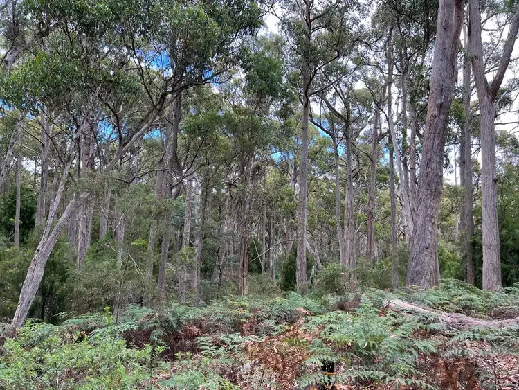 Sixth view of Homely rural property listing, 2023A Pipers River Road, Pipers River TAS 7252