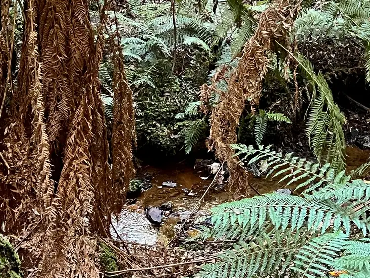 Seventh view of Homely rural property listing, 2023A Pipers River Road, Pipers River TAS 7252