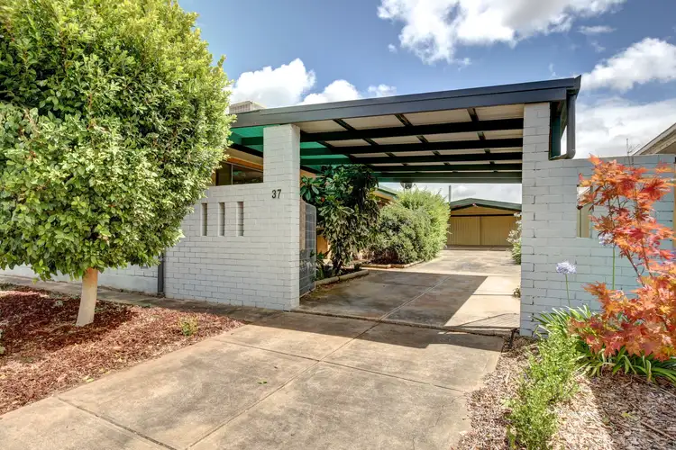Second view of Homely house listing, 37 The Parade, Holden Hill SA 5088