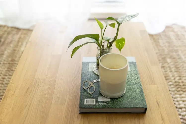 Third view of Homely apartment listing, 205/10-16 Vineyard Way, Breakfast Point NSW 2137