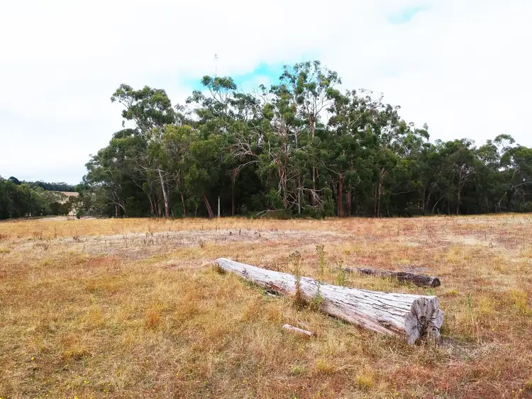 Third view of Homely rural property listing, LOT 1 Sunday Creek Road, Drumborg VIC 3304