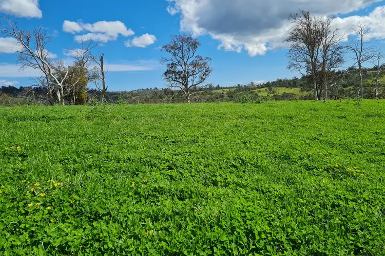Third view of Homely rural property listing, 900 Swanston Road, Swanston TAS 7120