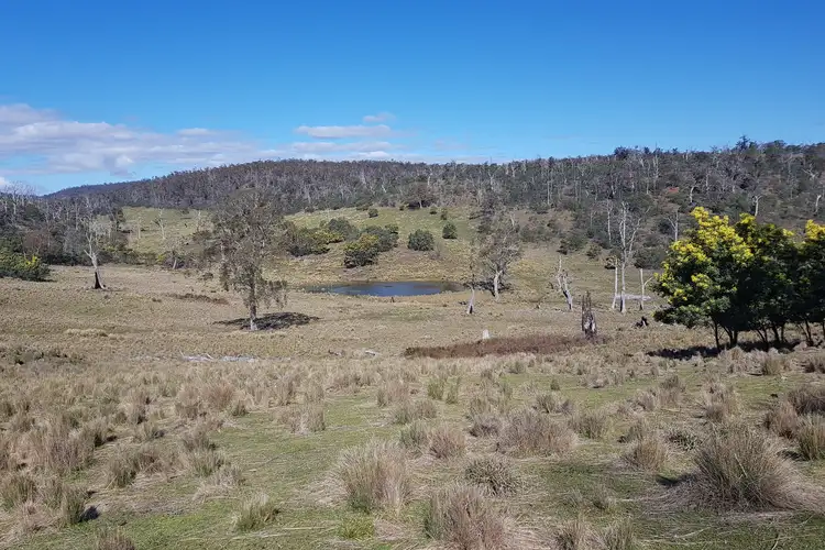 Sixth view of Homely rural property listing, 900 Swanston Road, Swanston TAS 7120