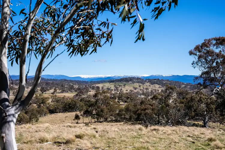 Main view of Homely rural property listing, Lot 8 Pure Alpine Estate Avonside Road, Jindabyne NSW 2627