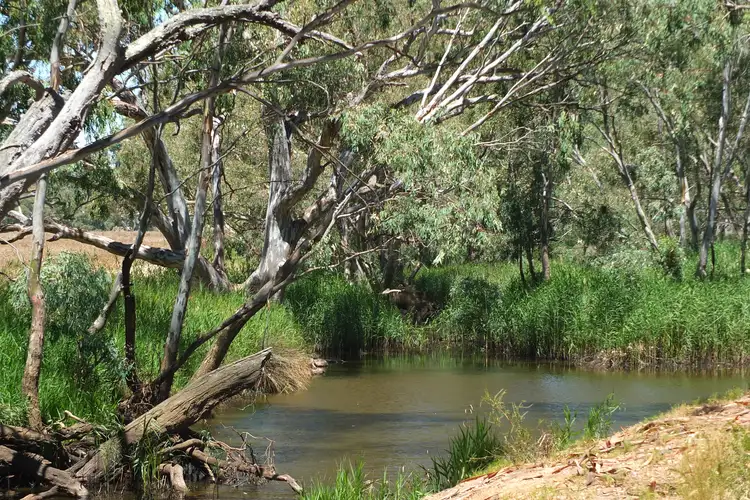 Main view of Homely rural property listing, CA 13F Archdale Road, Archdale VIC 3475