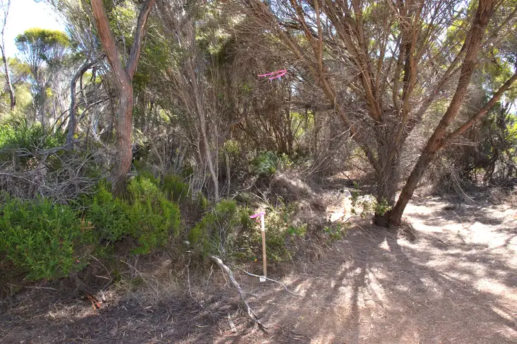 Third view of Homely rural property listing, Lot 51 American River Road, Muston SA 5221