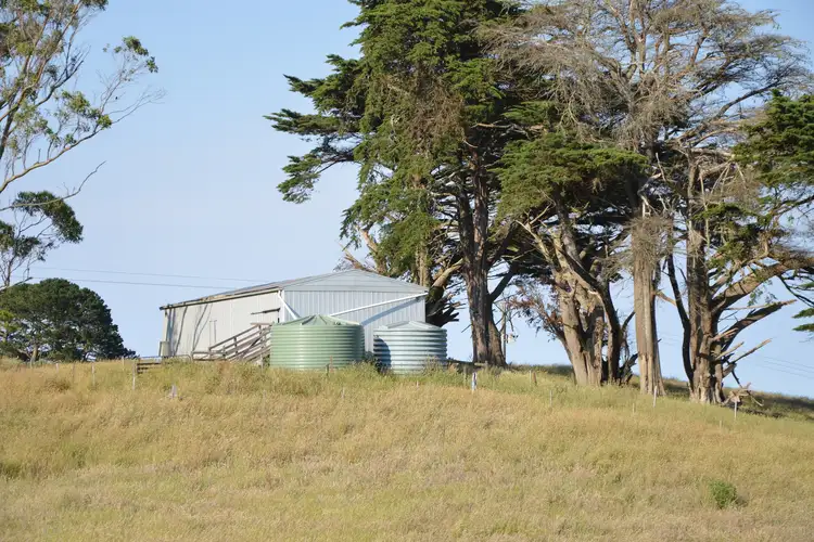 Fourth view of Homely rural property listing, 422 O'Gradys Ridge Road, Foster VIC 3960