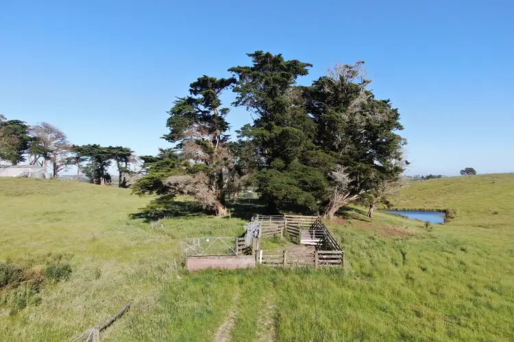 Seventh view of Homely rural property listing, 422 O'Gradys Ridge Road, Foster VIC 3960