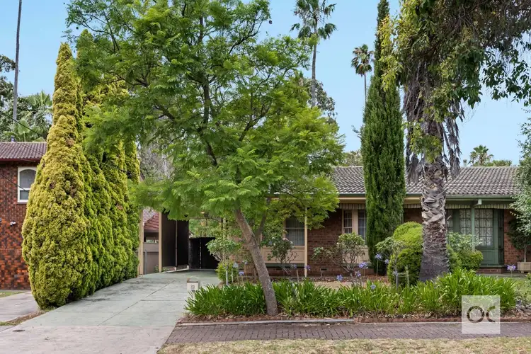 26 Myall Avenue, Kensington Gardens SA 5068