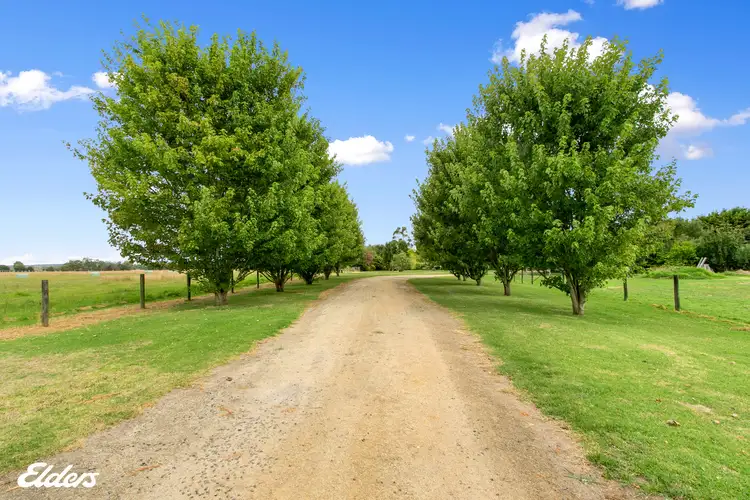 Fifth view of Homely rural property listing, 26 Coulthards Road, Calrossie VIC 3971