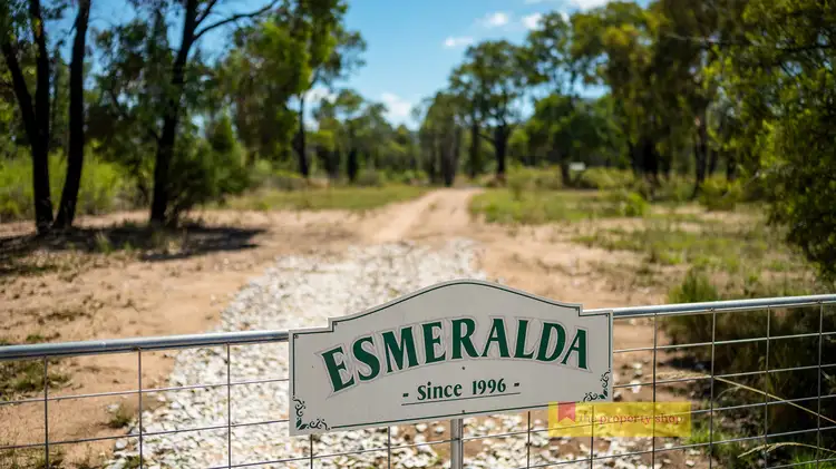 Second view of Homely rural property listing, 93 Pine Close, Mudgee NSW 2850
