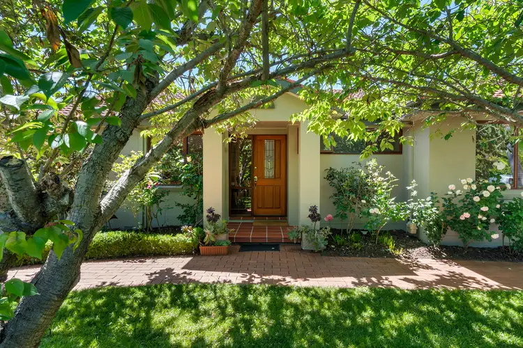 Main view of Homely house listing, 19 Prendergast Street, Curtin ACT 2605